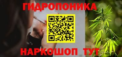 шишки Нальчик