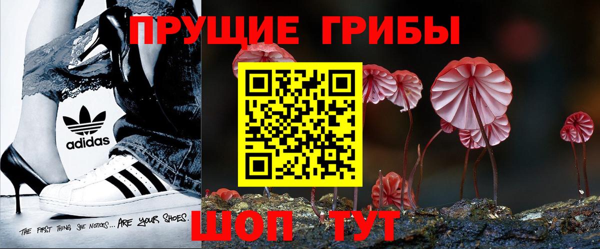 Барабинск  Псилоцибиновые грибы Psilocybine cubensis  Вход с VPN  Псилоцибиновые грибы Psilocybe 